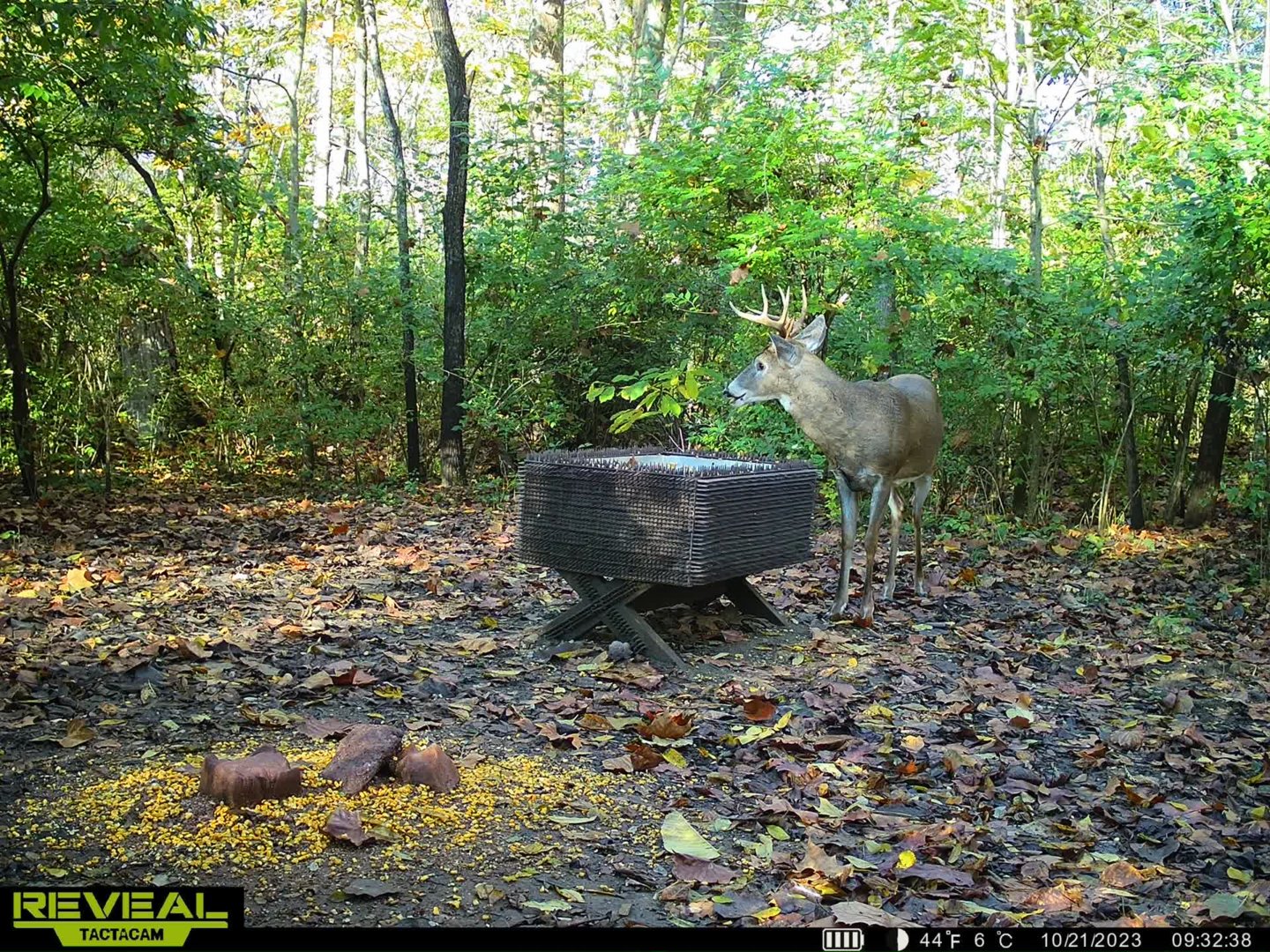 LIVE From The Stand 2023 2024 Edition The Ohio Outdoors   1000020132 Jpg.186301