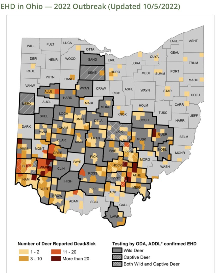 EHD The Ohio Outdoors