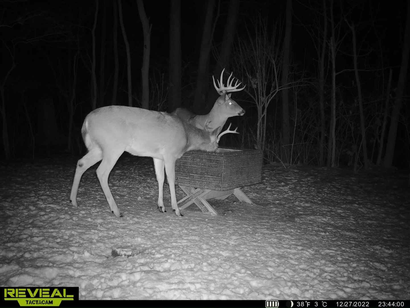 Wildlife 2022/2023 Deer Season The Ohio Outdoors