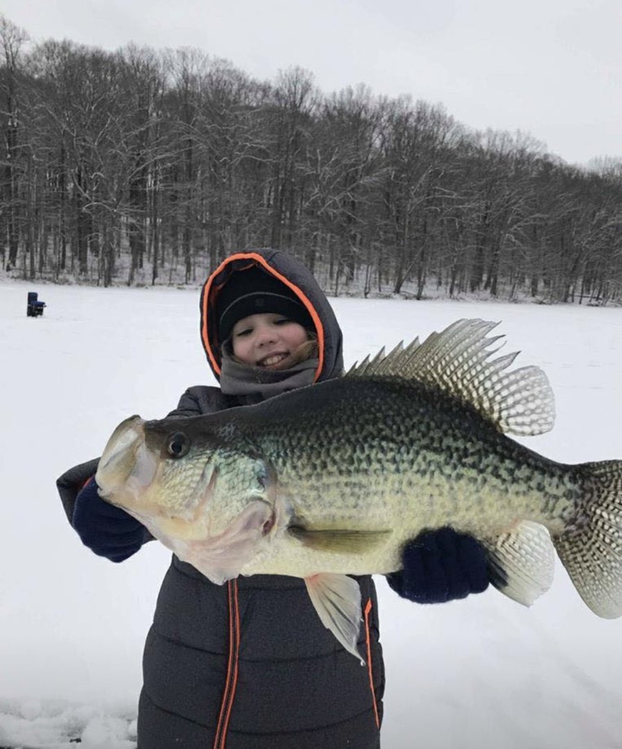 Huge crappie  The Ohio Outdoors