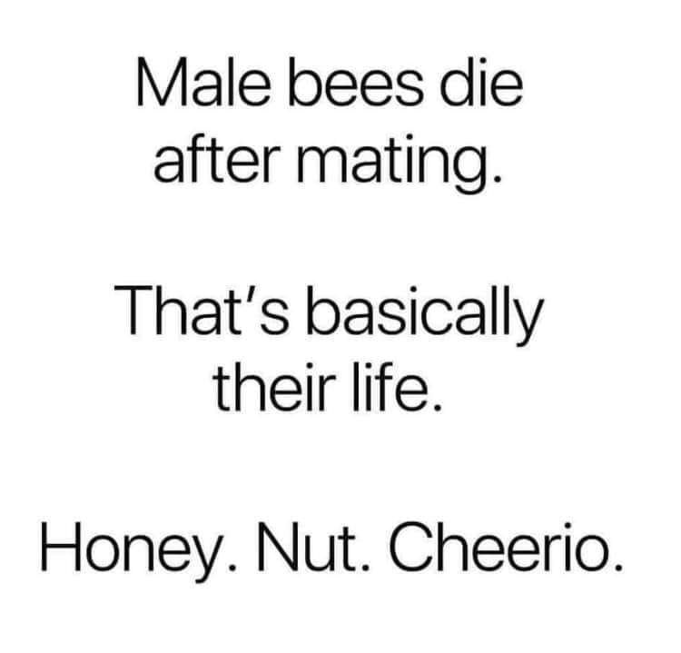 bees.jpg