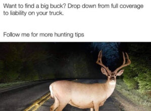 big deer.jpeg