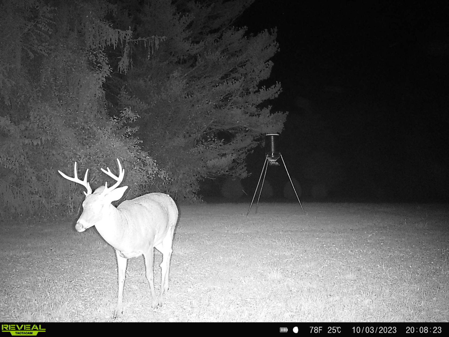 Wildlife 2023/2024 Deer Season The Ohio Outdoors