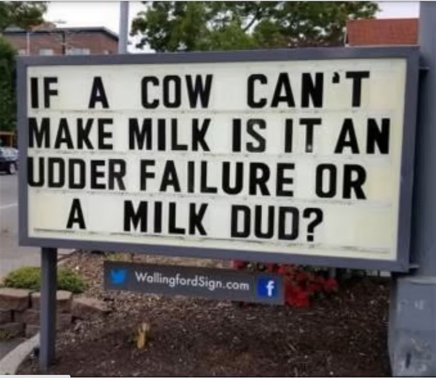 Cow can't make milk.JPG