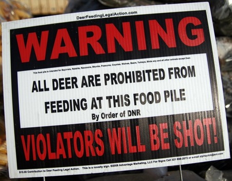 Deer Warning.jpg