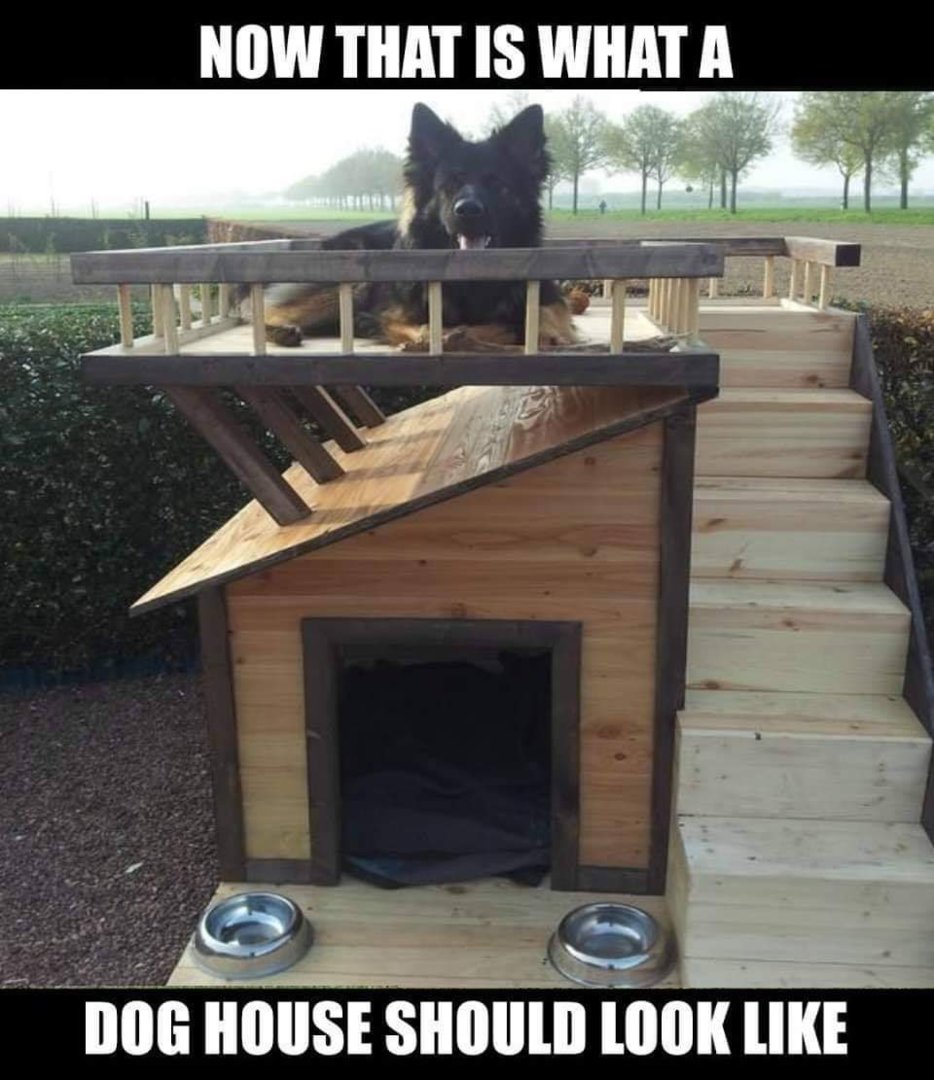 doghouse.jpg