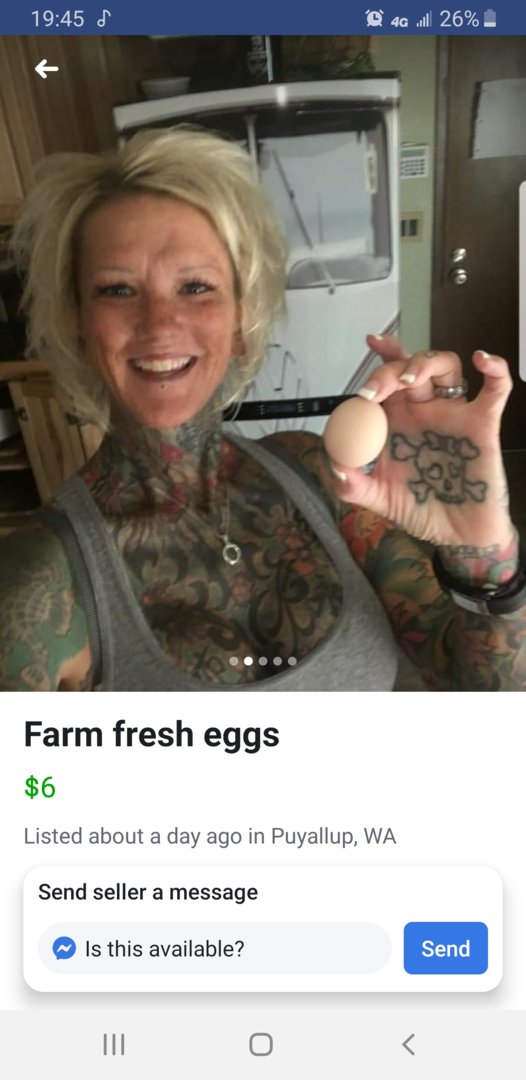 Eggs.jpg