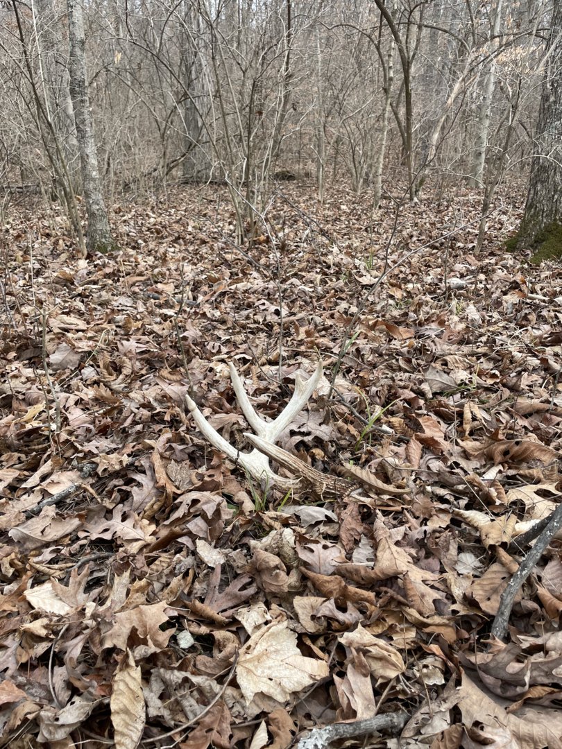 2024 Shed Season The Ohio Outdoors   Img 2498 Jpeg.191506