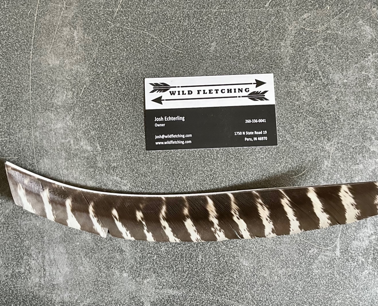 Full Length Natural Barred Wild Turkey Feathers