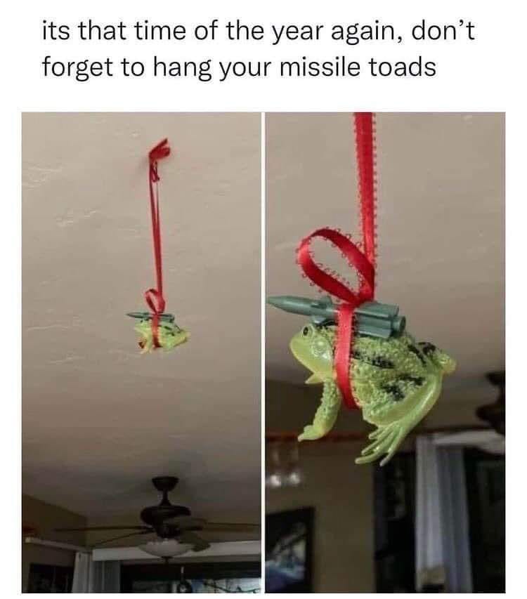 missile toad.jpg