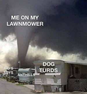 mowing the lawn.jpeg