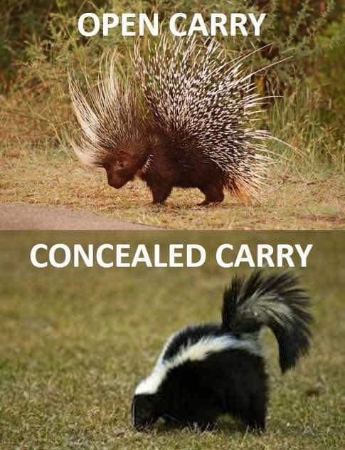 Open Carry vs. Concealed Carry.jpg