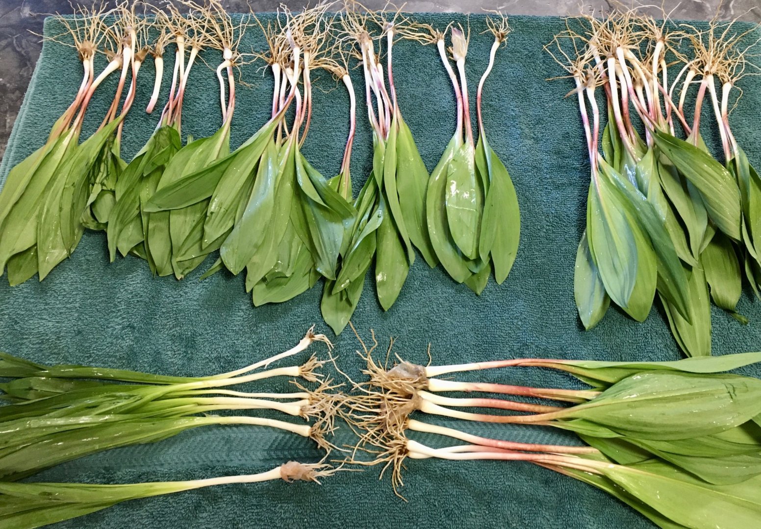 ramps 4-9-21.jpg