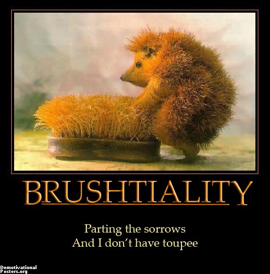 scrub-the-pud-parting-hair-brush-hedgehog-demotivational-posters-1318557771.jpg