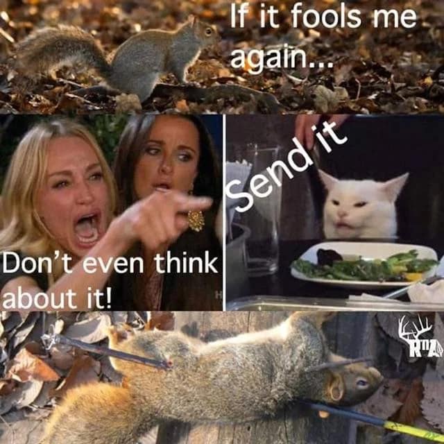 senditsquirrel.jpg