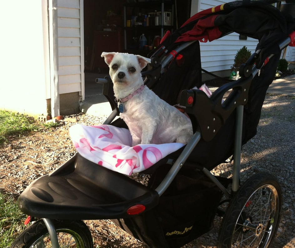 Stroller 2.jpg