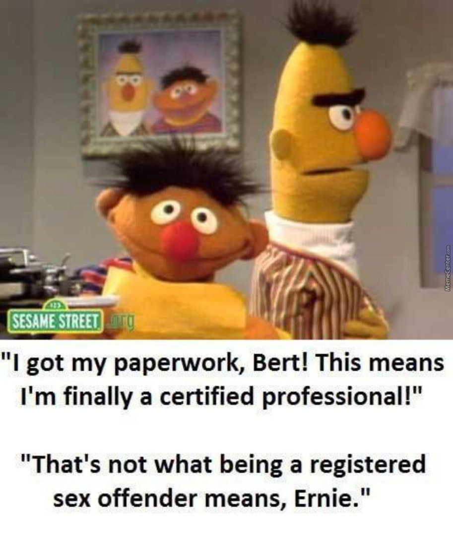there-aren-amp-039-t-enough-sesame-street-memes-on-this-site_o_7257436.jpg