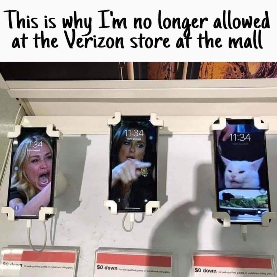 verizoncat.jpg