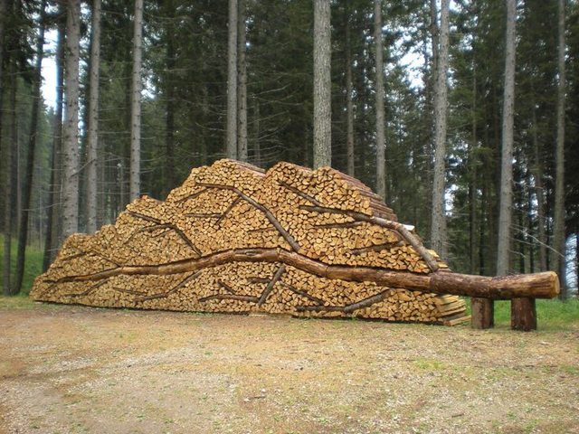 woodpile.jpg