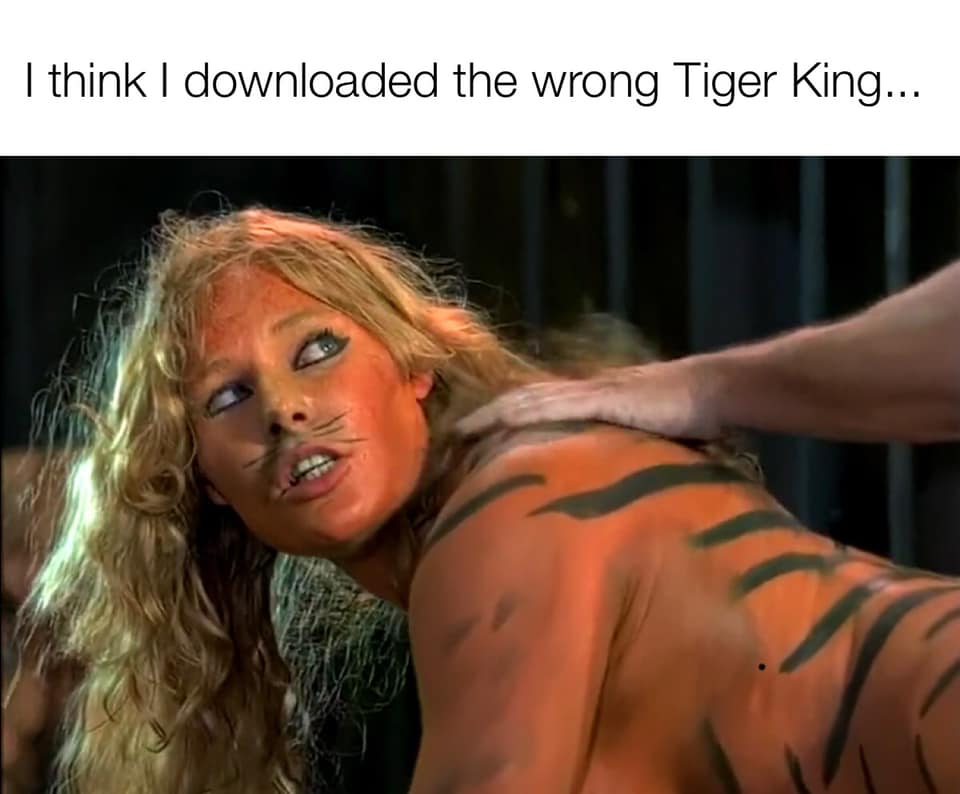 wrongtiger.jpg