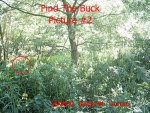 MDGC0017.jpg