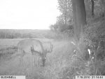 2010 target buck view 20001.jpg