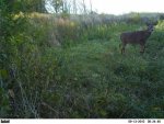 Narrow 10pt  9-13-10 0001.jpg