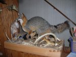 mounts 015.jpg