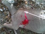 doe,,,,+.jpg