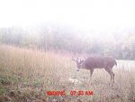Deer Pics 085.jpg