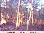 SUNP0016.jpg