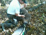 IMG00236-20101017-1221 Hank's first recovered deer 10-17.jpg
