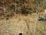 IMG00244-20101017-1605 groundblind location.jpg