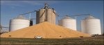 CornPile.jpg