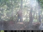 camp woods pics 1 053 Darwin.jpg
