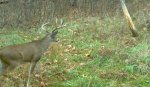 IMG_0170.jpg