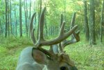 IMG_0851.jpg
