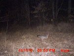 Kale Cam 11-12-10 023.JPG
