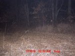 Kale Cam 11-12-10 016.jpg