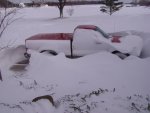 snow2.jpg