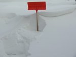 snow1.jpg