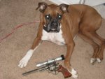 My watchdog Brutus 44 Mag0001.jpg