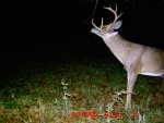 2010 bucks 024.jpg