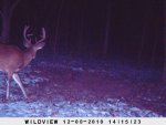 Behind the house December 252.jpg