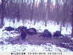 Behind the house December 273.jpg