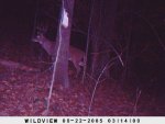 Behind the house December 125.jpg