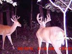 MDGC0023.JPG