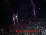MDGC0019.jpg