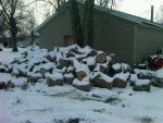 IMG00377-20101226-1622 wood by barn.jpg