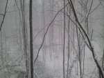 2011-01-08 08.46.20.jpg